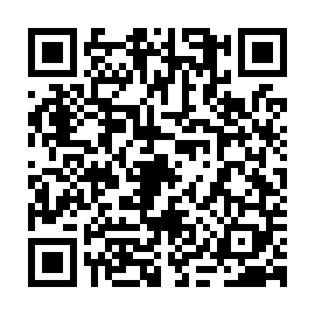 QR code for 2IVO498