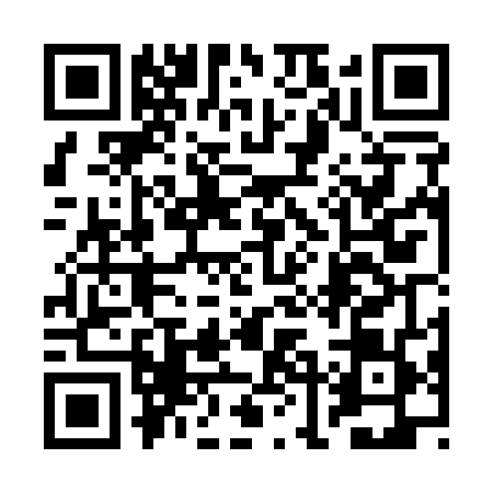 QR code for 2LDQ494