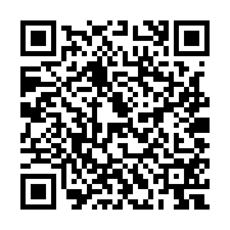 QR code for 2LDQ541