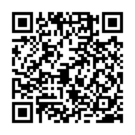 QR code for 2LIW381