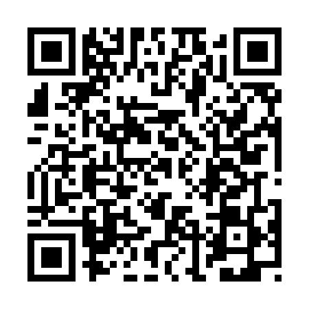QR code for 2LLM495