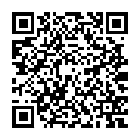 QR code for 2LTP378