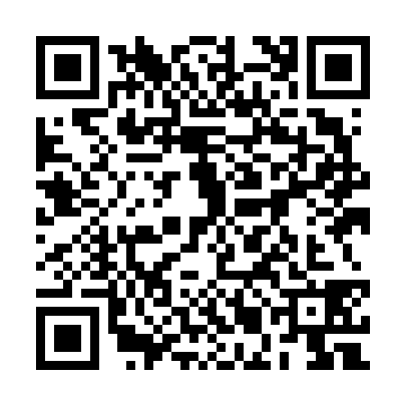 QR code for 2MIF383