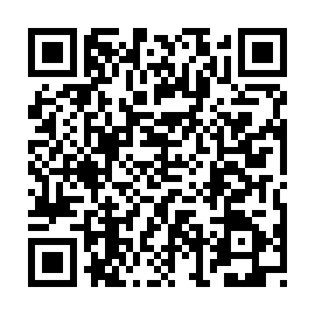 QR code for 2NIK250