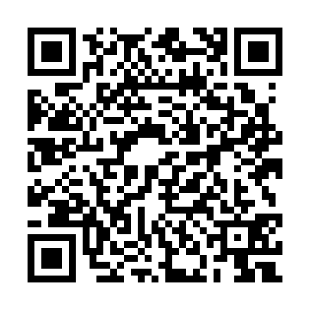 QR code for 2NMC313