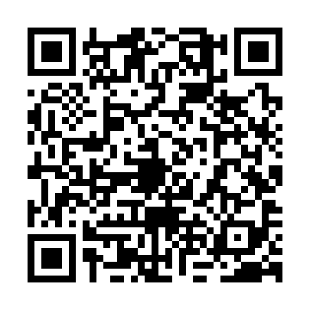 QR code for 2NNS993