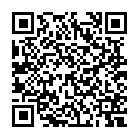 QR code for 2NPN041