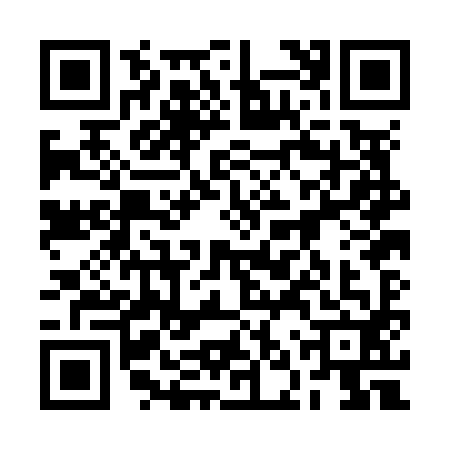 QR code for 2NPN929