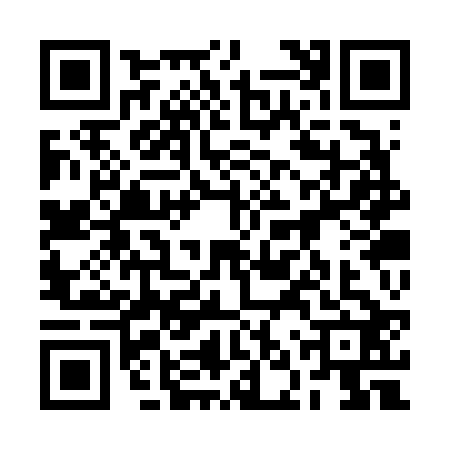 QR code for 2NSV228