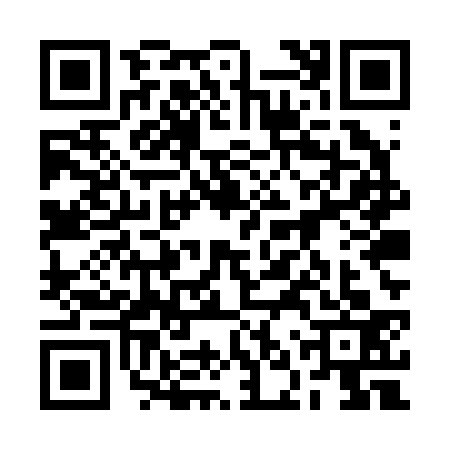 QR code for 2NUR333