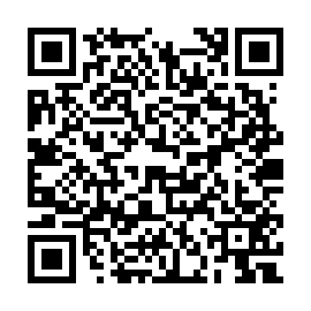QR code for 2NZV539