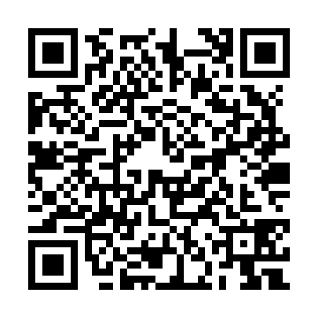 QR code for 2NZZ383