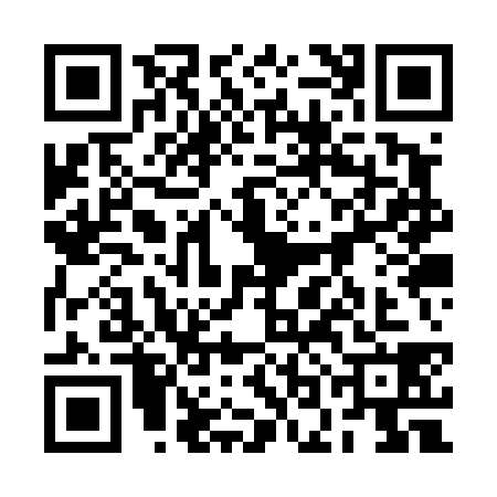 QR code for 2OKT381
