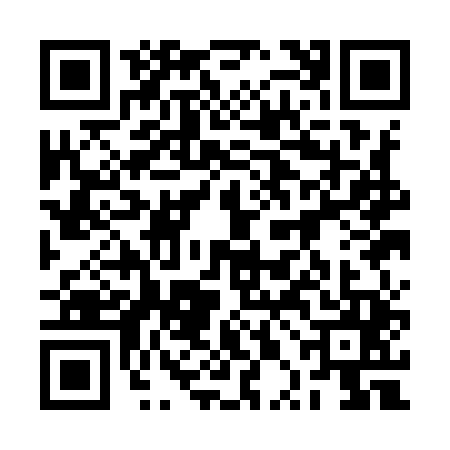 QR code for 2PAI451