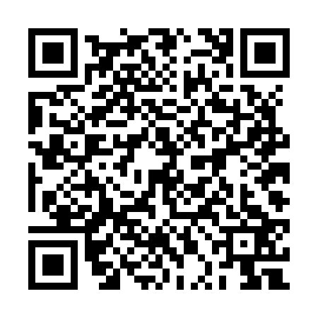 QR code for 2PDJ239
