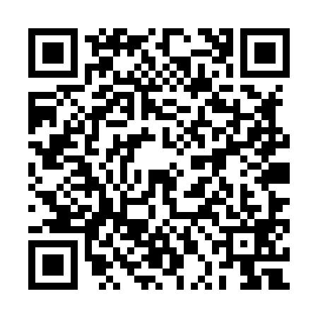 QR code for 2PEX998