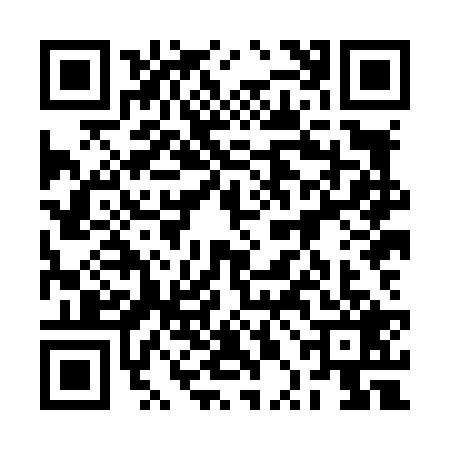 QR code for 2PHL293