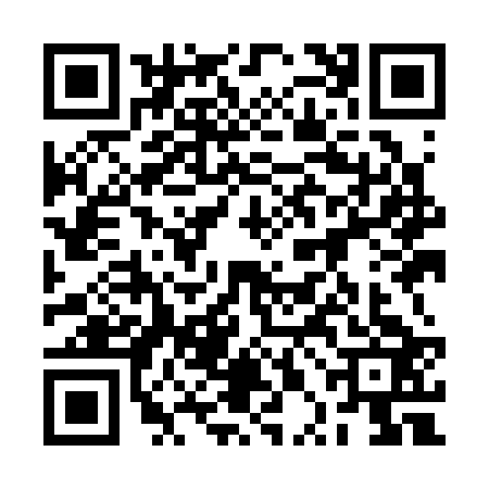 QR code for 2PIC236