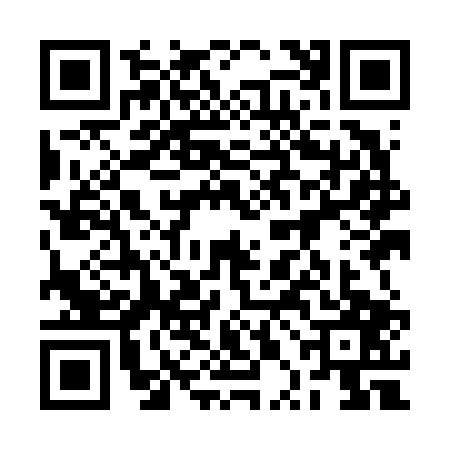 QR code for 2PIF076