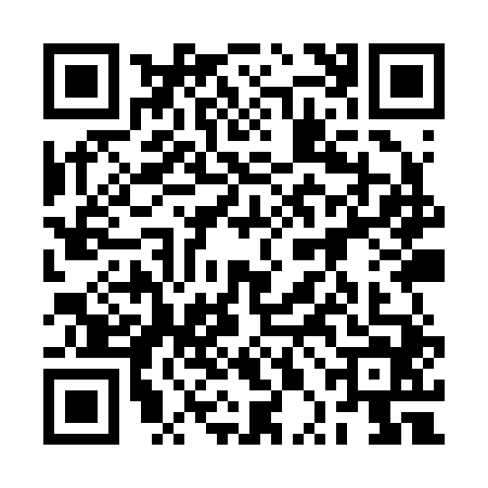 QR code for 2PIR440