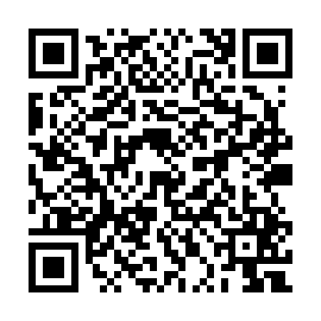 QR code for 2PIR450