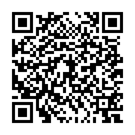 QR code for 2PJO509