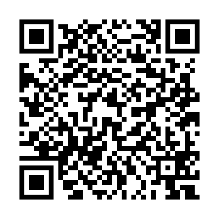 QR code for 2PKK991