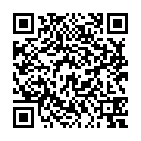 QR code for 2PMH382