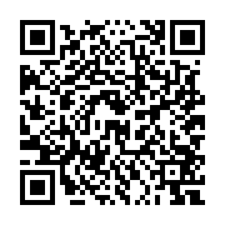 QR code for 2PNE435