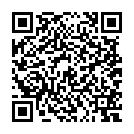 QR code for 2PNM013