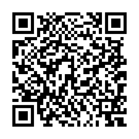 QR code for 2PNM929