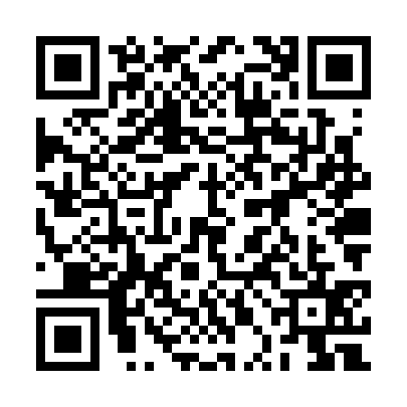 QR code for 2PNS355