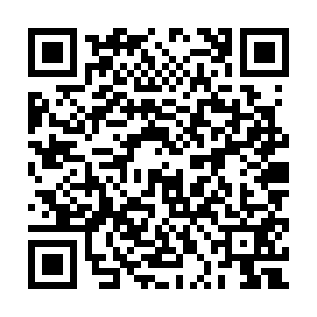 QR code for 2PNS519