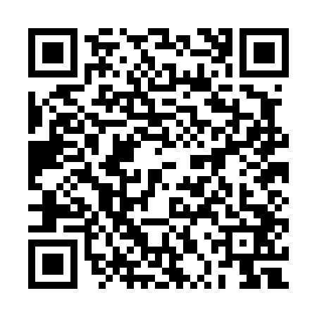 QR code for 2PPD420