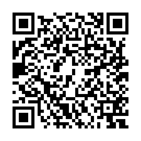 QR code for 2PPI523