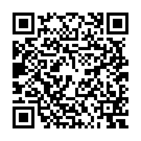 QR code for 2PPN936