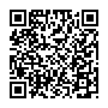 QR code for 2PPO484