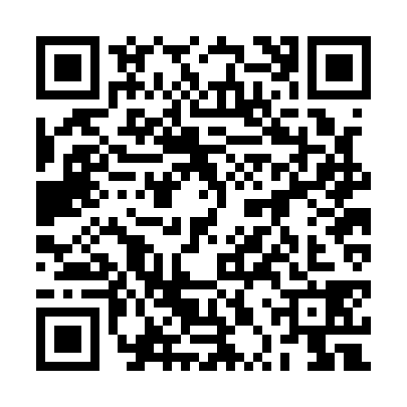 QR code for 2PRA383