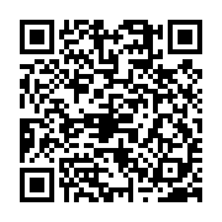QR code for 2PSD993