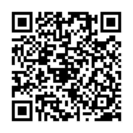 QR code for 2PSE485