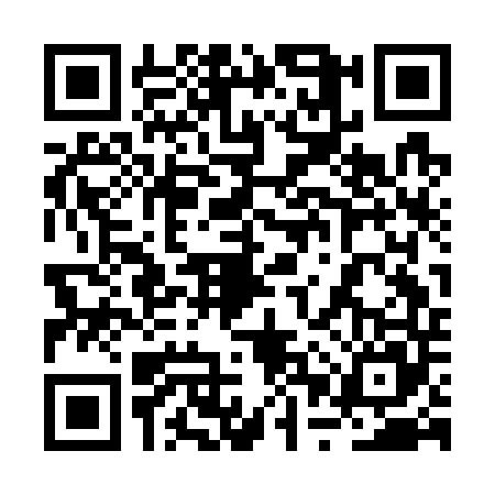 QR code for 2PSG458
