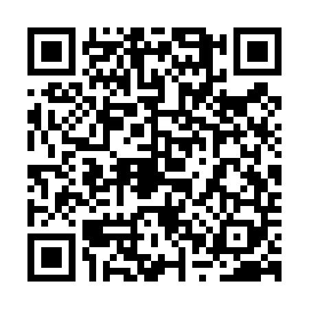 QR code for 2PST495