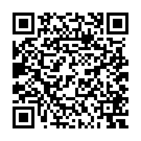 QR code for 2PTO491