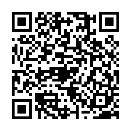 QR code for 2PUP410