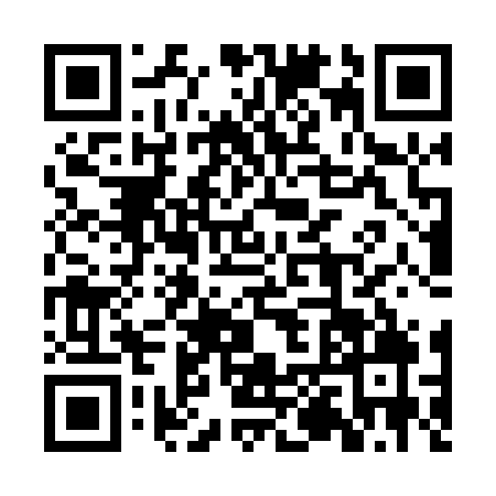 QR code for 2PYP295