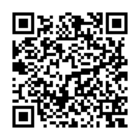 QR code for 2QAI213