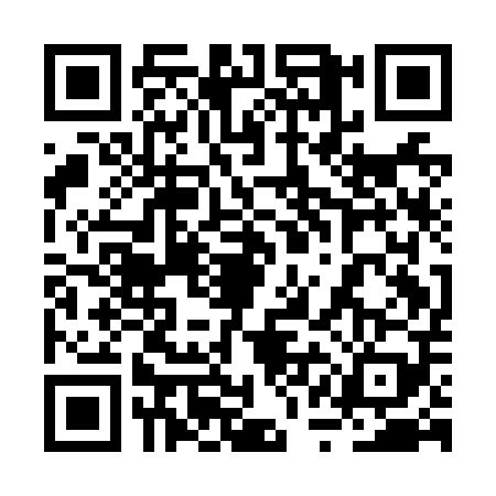 QR code for 2QAN095