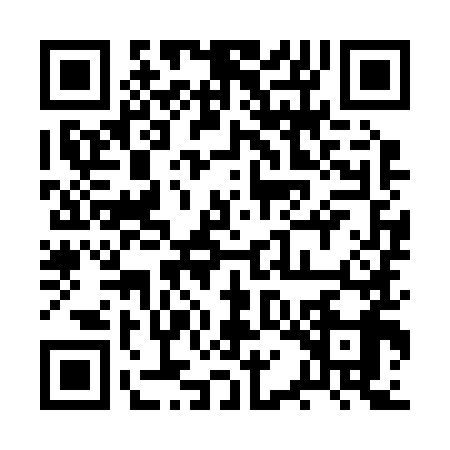 QR code for 2QIR995