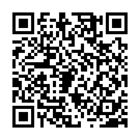 QR code for 2QMS383