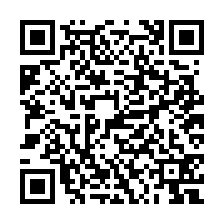 QR code for 2QRG328